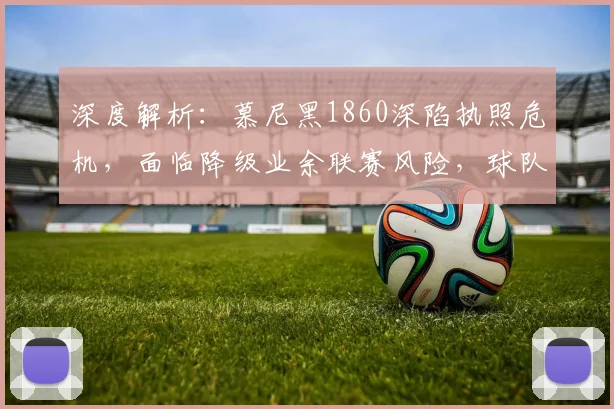 深度解析:慕尼黑1860深陷执照危机,面临降级业余联赛风险,球队未来何去何从?
