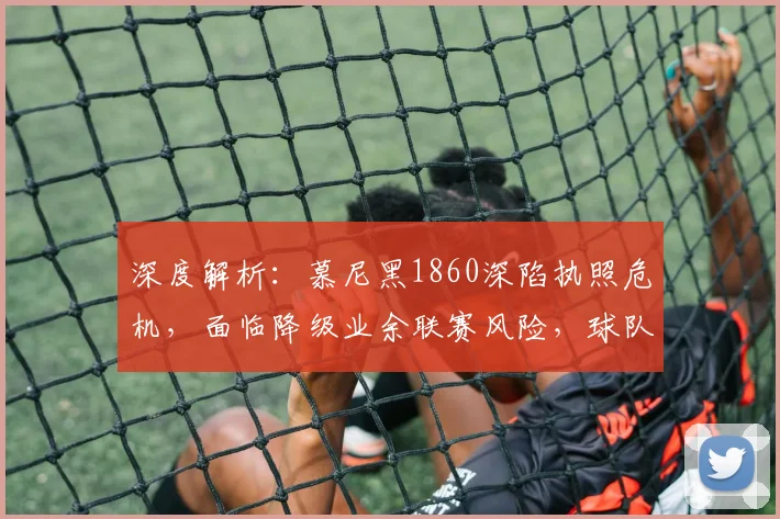 深度解析：慕尼黑1860深陷执照危机，面临降级业余联赛风险，球队未来何去何从？